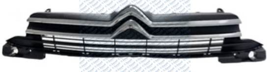 9816049280 Badge  C-Elysee